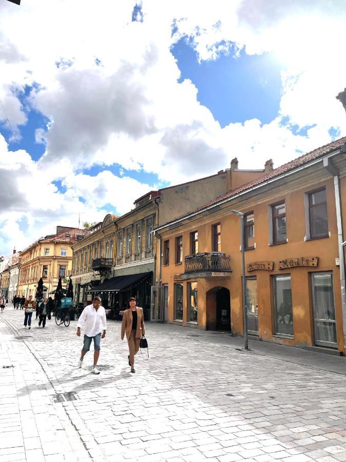 Stylish Apartment In The Heart Of Kaunas Old Town Ngoại thất bức ảnh